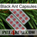 Black Ant Capsules 19